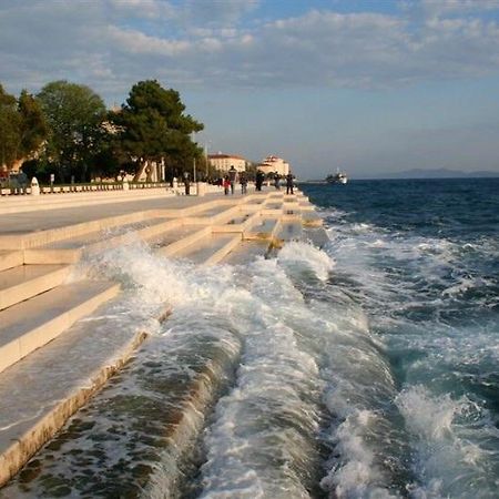 Apartment Olives Zadar Pokój zdjęcie